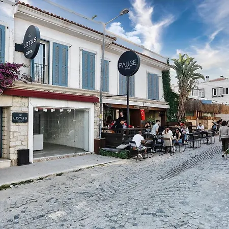 Ξενοδοχείο Lotus Koeyici