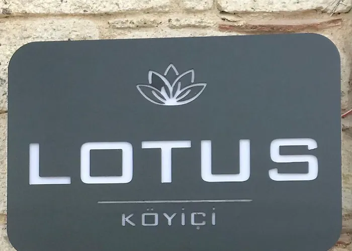 Отель Lotus Koeyici Алачати