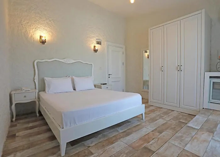 Lotus Koeyici Hotel *